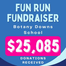 illustration showing results of Botany Downs School Fun Run