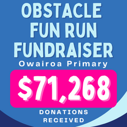 illustration showing results of Owairoa Primary School Obstacle Fun Run